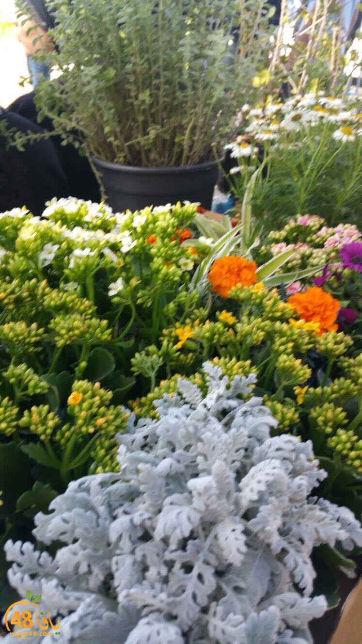 tomashin lduaj (6).jpg